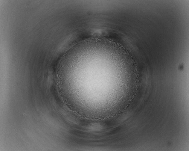 X0000114140659200910151610