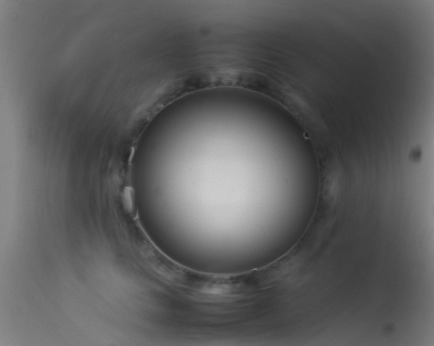 X0000114140661200910151610