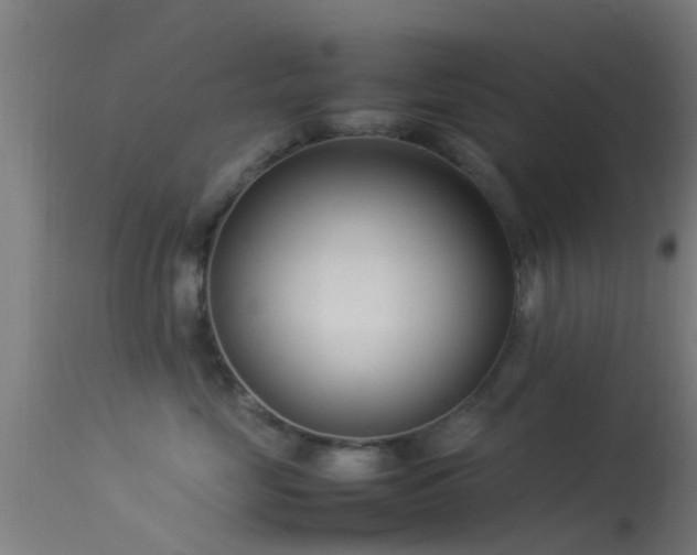 X0000114140669200910151611