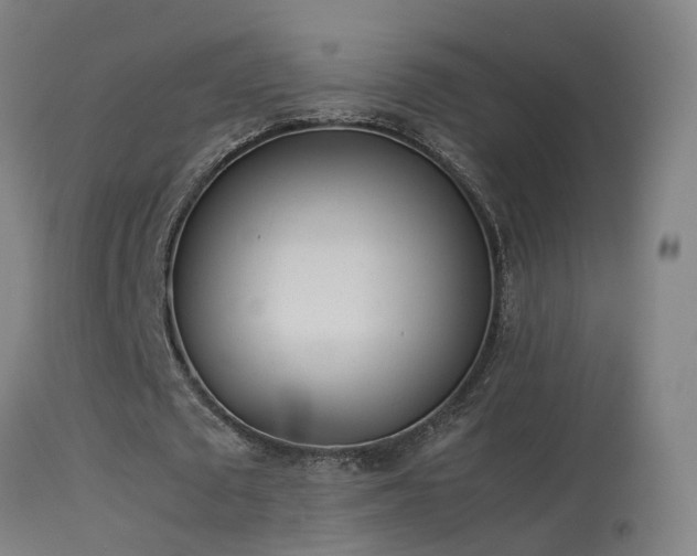 X0000114140673200910151610