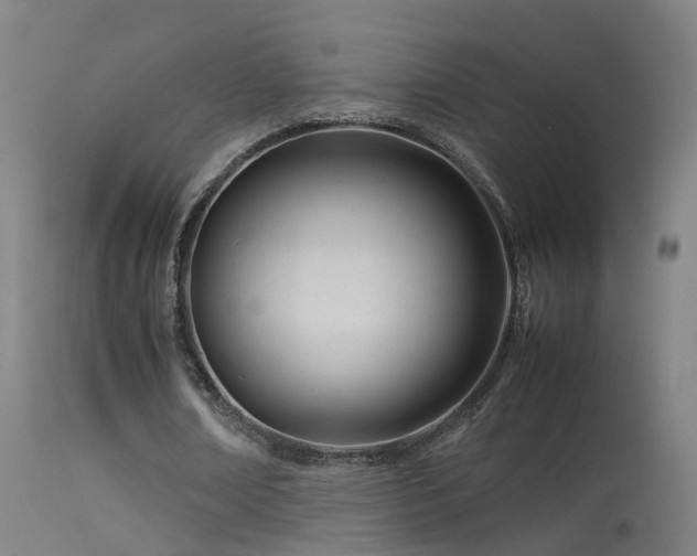 X0000114140674200910151610