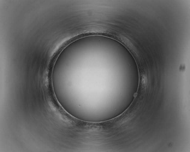 X0000114140676200910151610