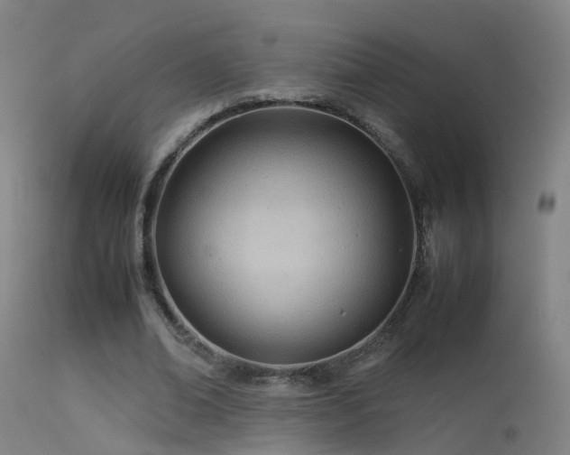 X0000114140678200910151610