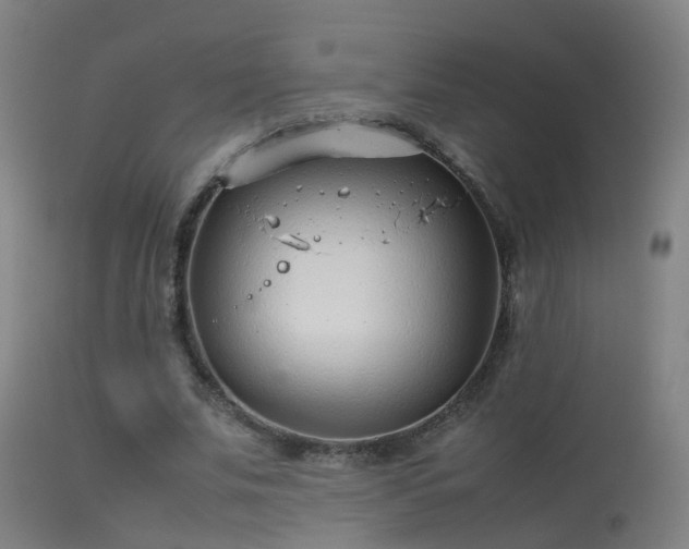 X0000114140679200910151610