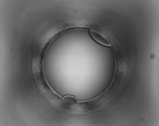 X0000114140680200910151610