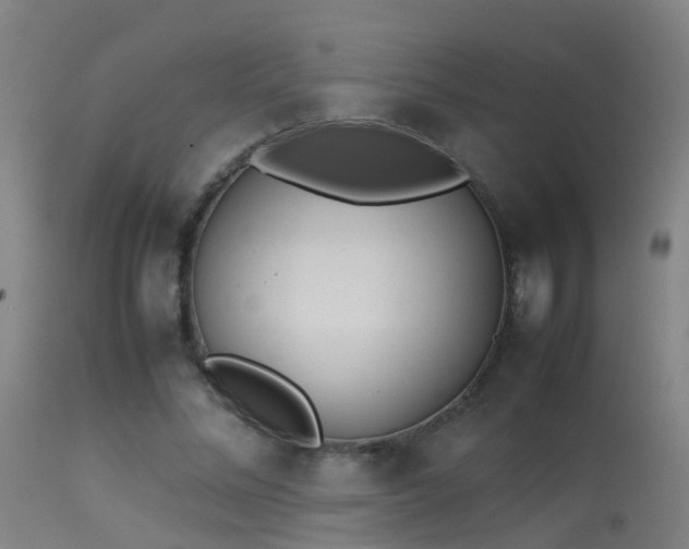 X0000114140684200910151610