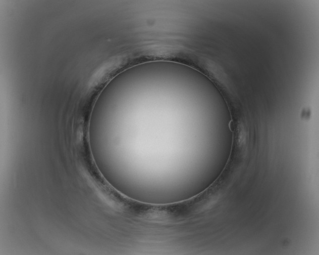 X0000114140685200910151610