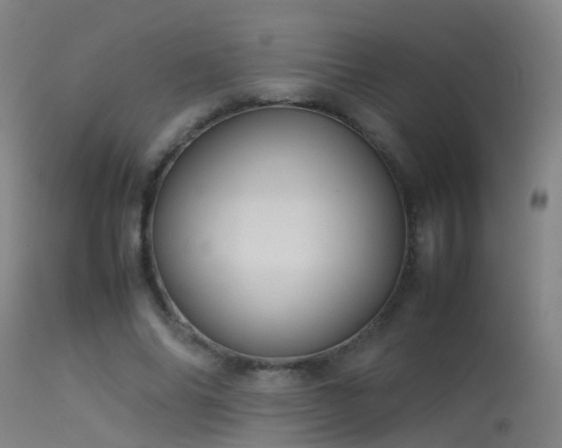 X0000114140686200910151610