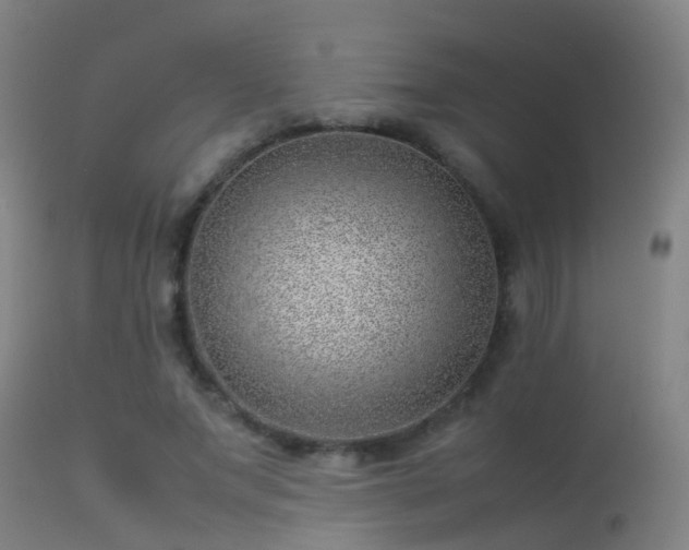 X0000114140687200910151610