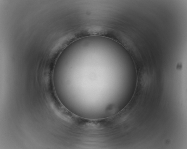 X0000114140690200910151610