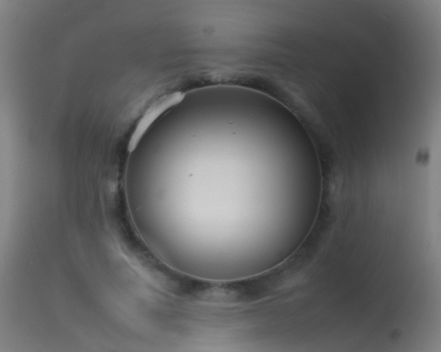 X0000114140691200910151610