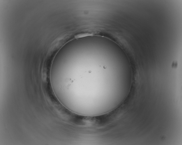 X0000114140693200910151610