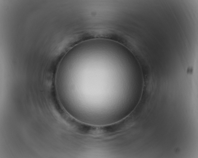 X0000114140695200910151610