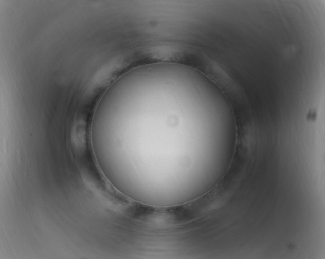 X0000114140696200910151610