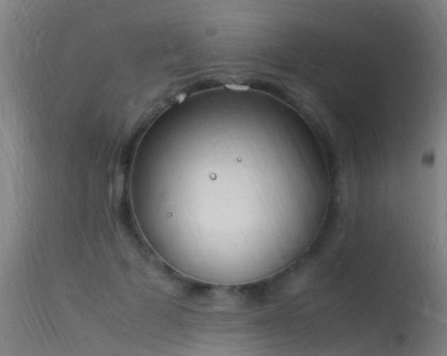 X0000114140697200910151610