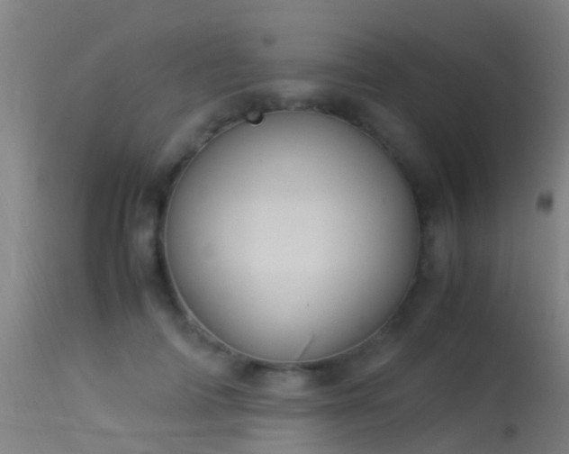 X0000114140698200910151610