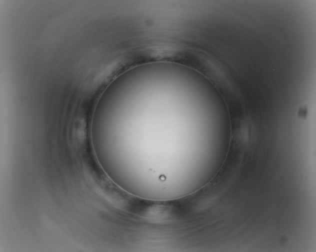 X0000114140700200910151610