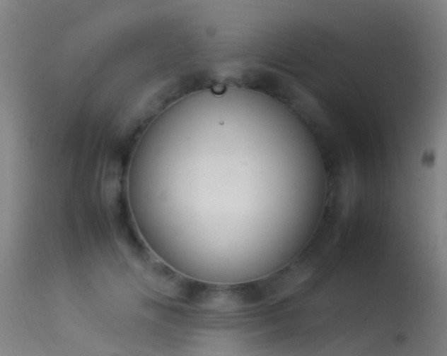 X0000114140702200910151609