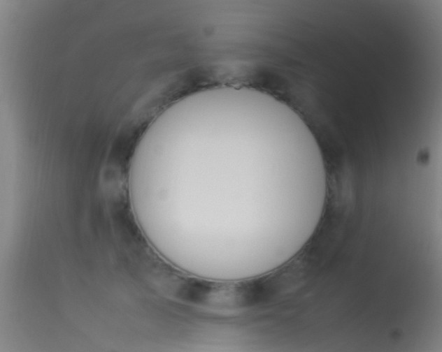 X0000114140705200910151609