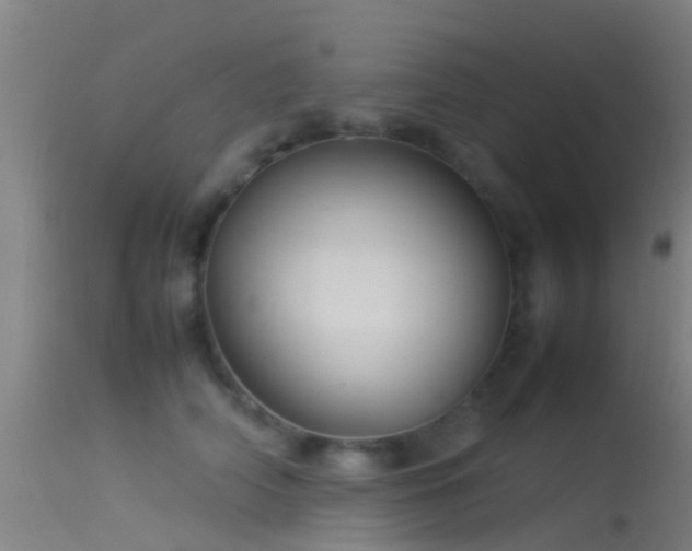 X0000114140706200910151609