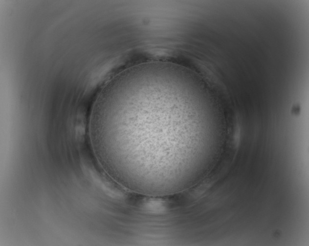 X0000114140710200910151609