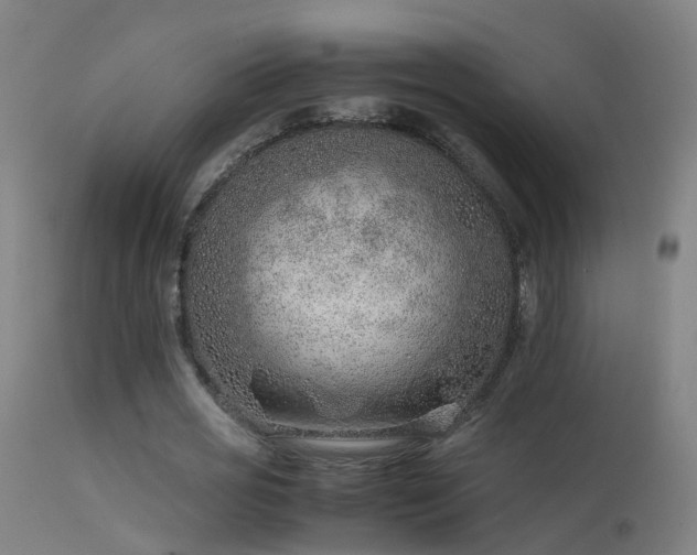 X0000114140725200910151608