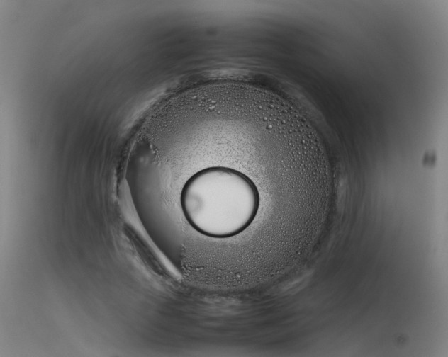 X0000114140729200910151609