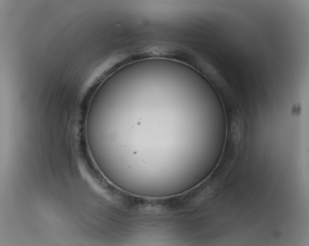 X0000114140730200910151609