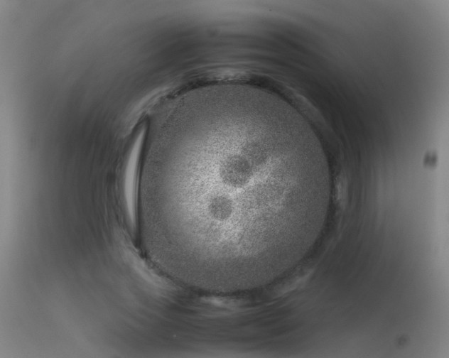 X0000114140733200910151609