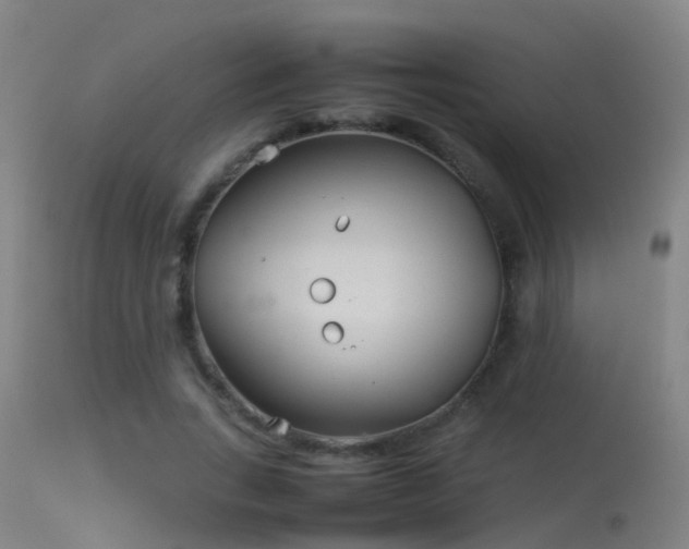 X0000114140735200910151609