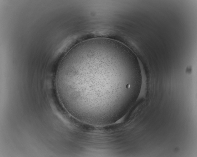 X0000114140738200910151609