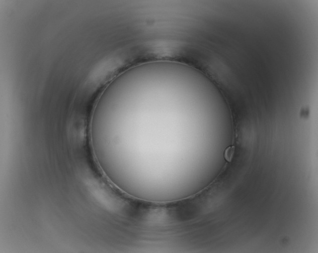 X0000114140740200910151609