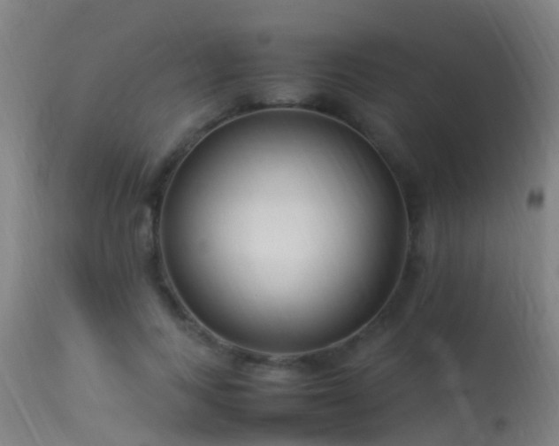 X0000114140743200910151609