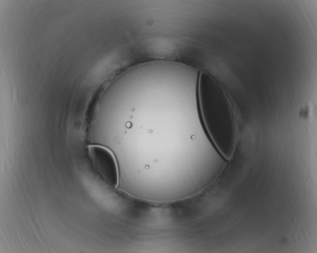 X0000114140744200910151609