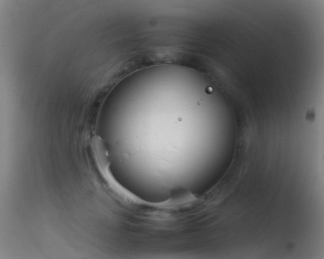 X0000114140751200910151609