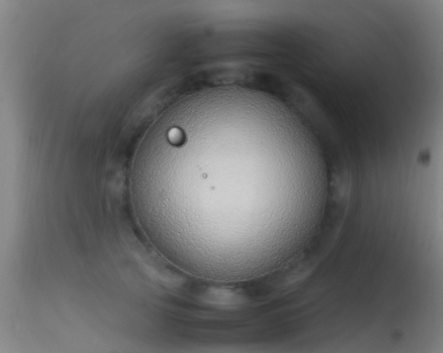 X0000114140753200910151609