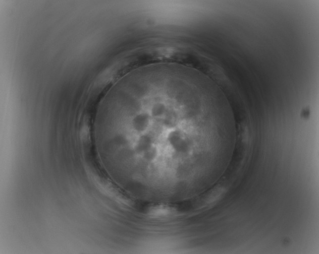 X0000114140754200910151609