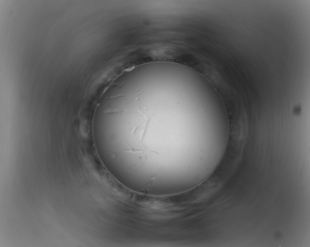 X0000114140755200910151609