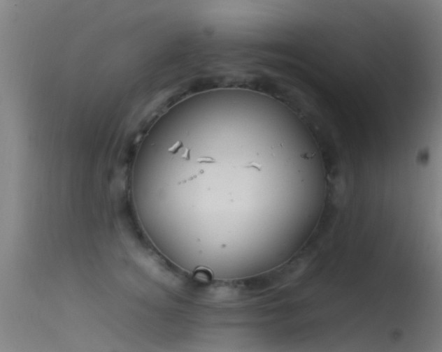 X0000114140756200910151609