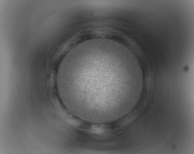 X0000114140757200910151609