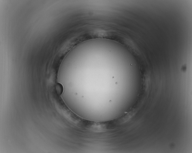 X0000114140760200910151609