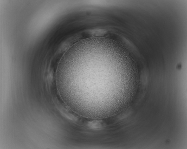 X0000114140761200910151609