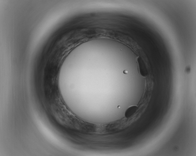 X0000114140766200910151609