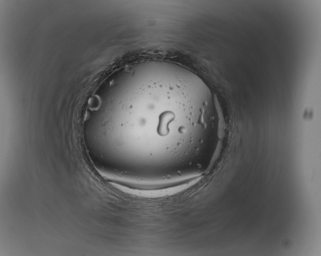 X0000114140769200910151608