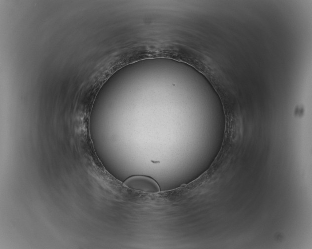 X0000114140770200910151608