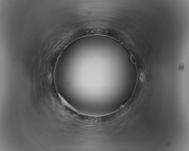 X0000114140771200910151608