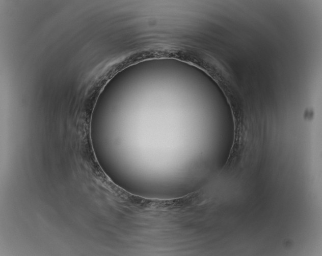 X0000114140773200910151608