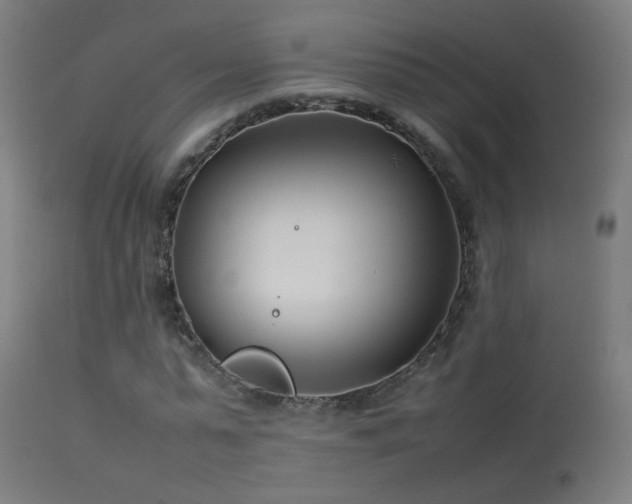 X0000114140775200910151608