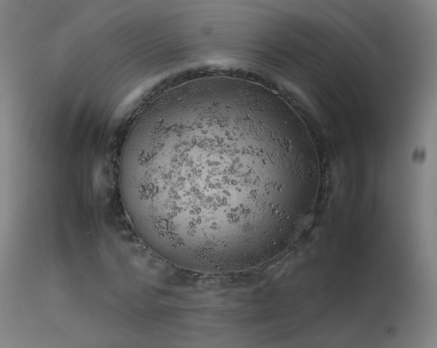 X0000114140776200910151608