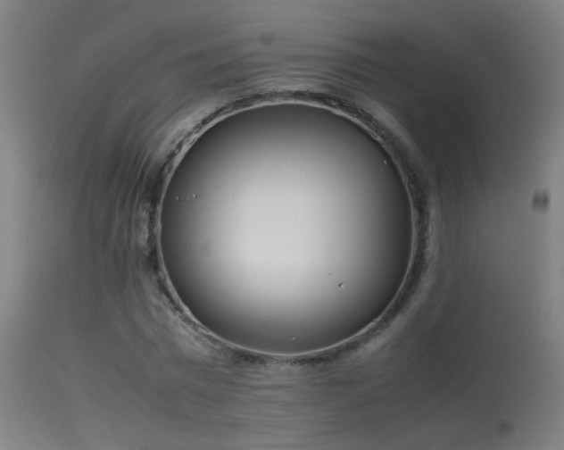 X0000114140777200910151608